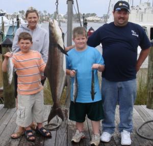 Nice cobia and spanish mackerel caught on 4 hour trip